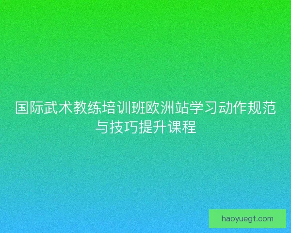 国际武术教练培训班欧洲站学习动作规范与技巧提升课程